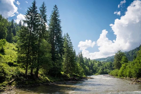 喀尔巴阡山脉中的河流 — 图库照片