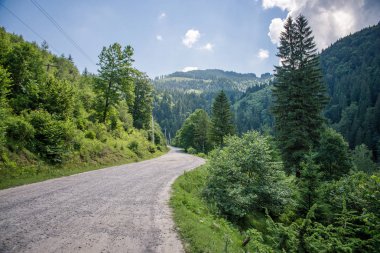 toprak yol Ukrayna Karpat Dağlarında