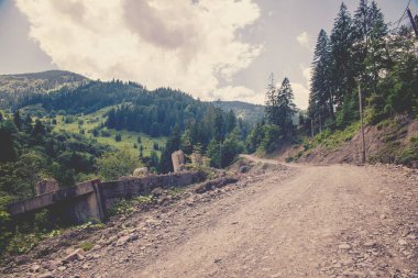 Karpat Dağları'nda yol