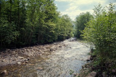 Karpat Dağları 'ndaki Nehir