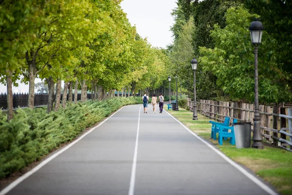 Sommar vacker park — Stockfoto