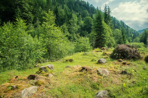 Landschaft in den Karpaten — Stockfoto