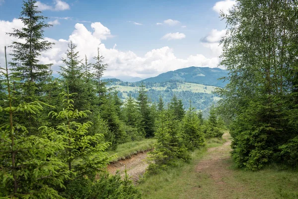 Landschaft in den Karpaten — Stockfoto