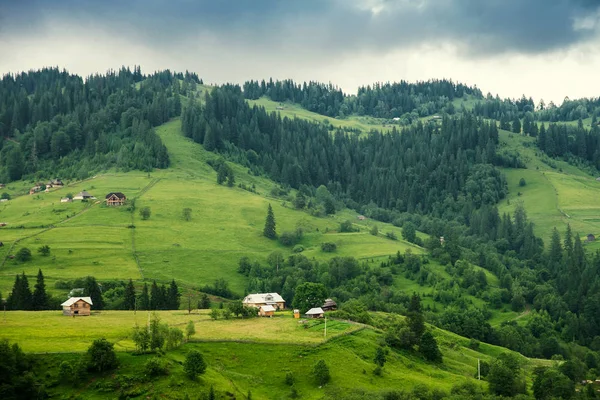 森林风景在山里 — 图库照片