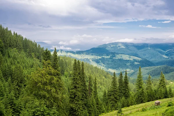 Krajobraz lasów w górach — Zdjęcie stockowe