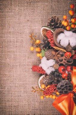 Güzel Noel çelengi