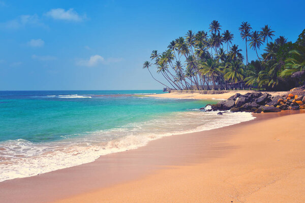 tropical beach in Sri Lanka