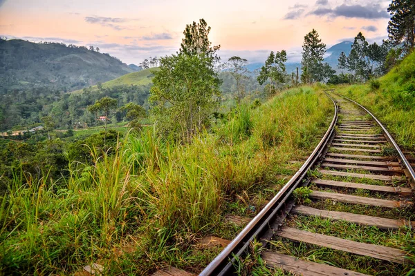 Viejo ferrocarril en la selva tropical — Foto de Stock