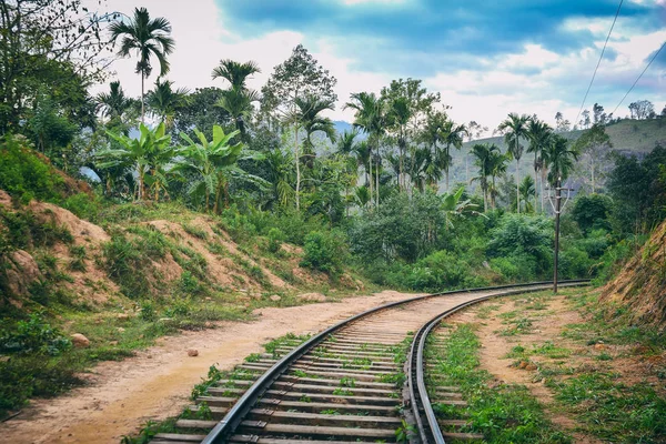 熱帯雨林の古い鉄道 — ストック写真