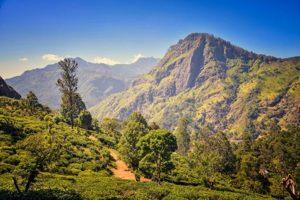 Bela paisagem com Ella Rock — Fotografia de Stock