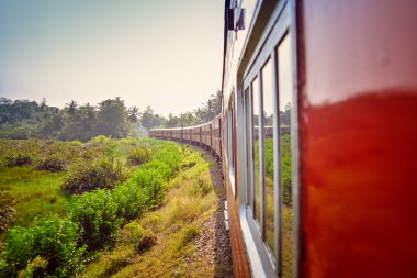 Sri Lanka güzel manzara ile eski tren sürmek