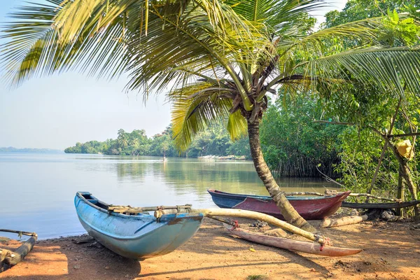Fishing Boats Lake Jungles Sri Lanka — Stock Photo, Image