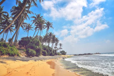 Hint Okyanusu kıyı şeridi