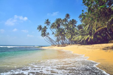 Hint Okyanusu kıyı şeridi