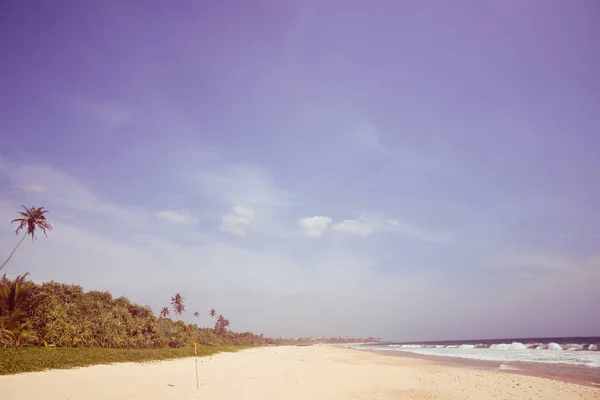 Красивый пейзаж с пляжем — стоковое фото