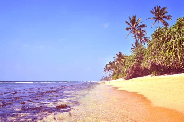Costa del océano Índico —  Fotos de Stock