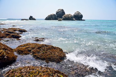 Hint Okyanusu Sri Lanka Sahil manzaralarını