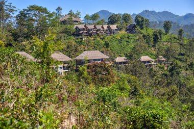 dağlarda çay görünümünü