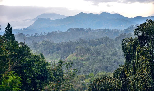 Widoki Lasów Tropikalnych Sri Lanka — Zdjęcie stockowe