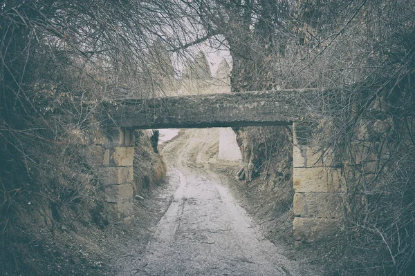 Ormandaki toprak yol — Stok fotoğraf