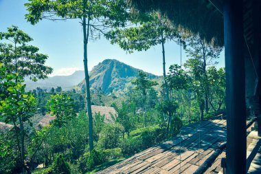 Ella Rock ile güzel manzara