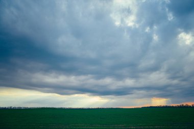Yeşil bir alanın üzerinde yağmur bulutları
