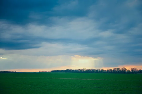 Regenwolken over een groen veld — Stockfoto