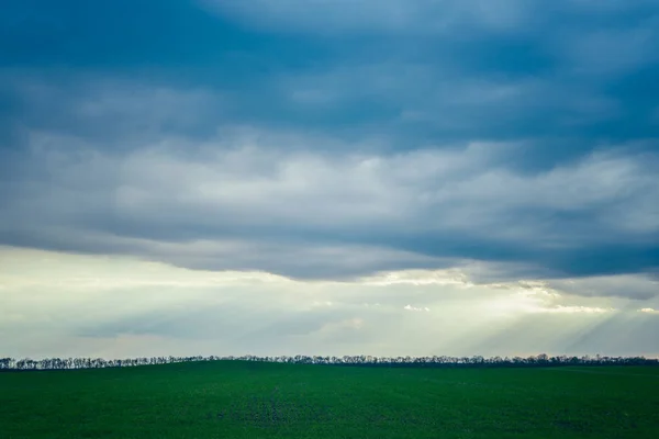 Хмари дощу над зеленим полем — стокове фото