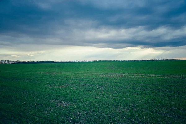 Nuvole di pioggia su un campo verde — Foto Stock