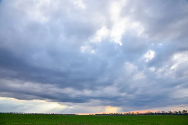 Хмари дощу над зеленим полем — стокове фото
