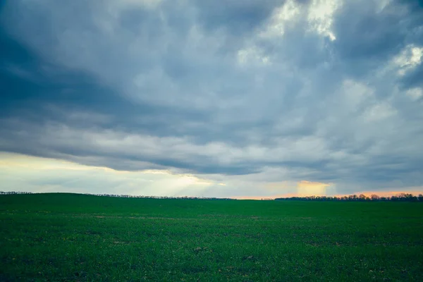 Nuvole di pioggia su un campo verde — Foto Stock