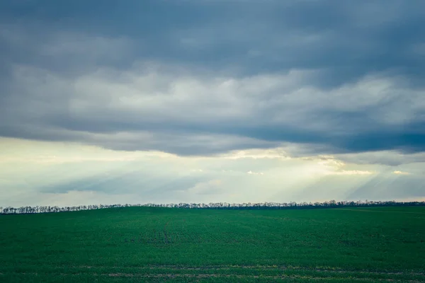 Nuvole di pioggia su un campo verde — Foto Stock