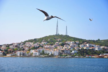 Türkiye'de adalar ada.