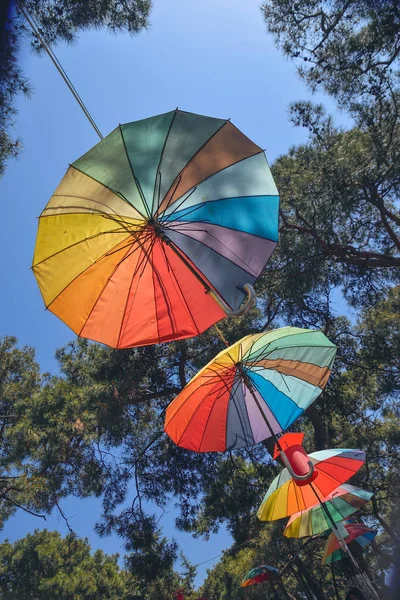 Paraplyer i parken — Stockfoto