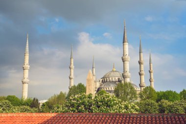 İstanbul 'daki Mavi Cami