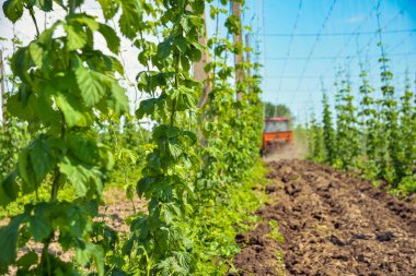 Atlama alanı ve mavi gökyüzü