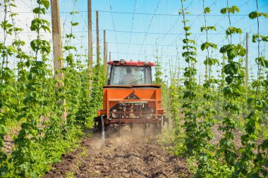 Alanın ve traktör hops