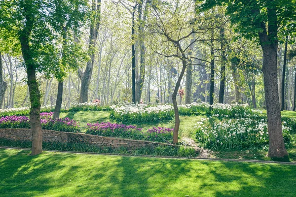 Gulhane park in Istanboel — Stockfoto