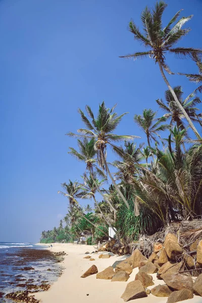 Paysage, côte de l'océan Indien — Photo