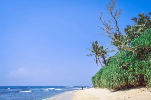 Paysage, côte de l'océan Indien — Photo