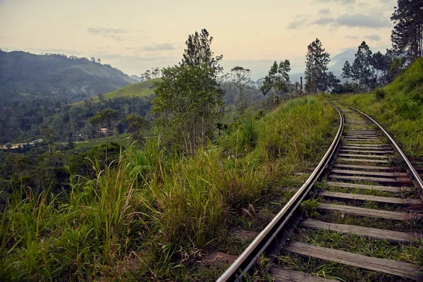 Viejo ferrocarril en la selva tropical — Foto de Stock