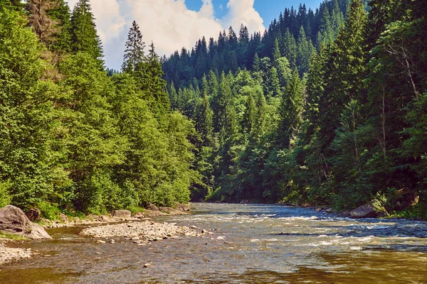 Fiume di montagna nella foresta — Foto Stock