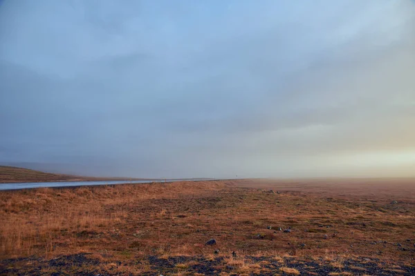 Туманная дорога в Исландии — стоковое фото
