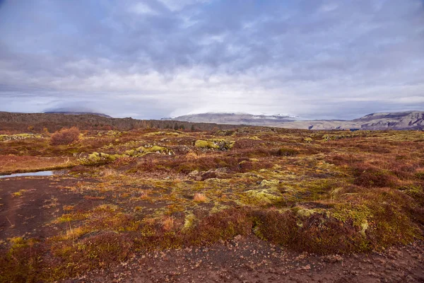 Nationalparken Þingvellir — Stockfoto