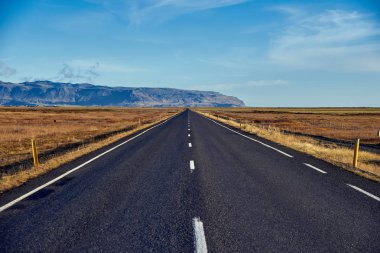 İzlanda'da asfalt yol