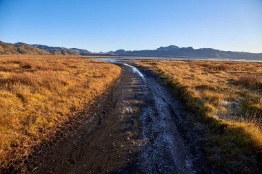 İzlanda'da asfalt yol