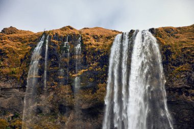 Güzel Seljalandsfoss şelale