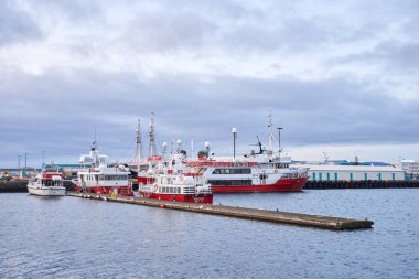 Reykjavik Limanı, İzlanda