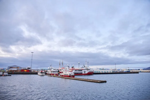 Haven in Reykjavik — Stockfoto