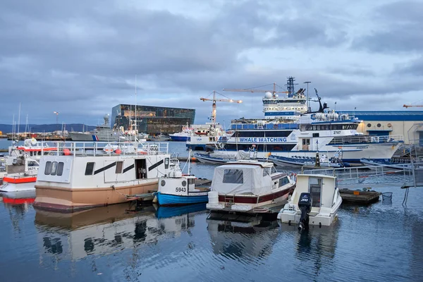 Reykjavik Limanı, İzlanda — Stok fotoğraf